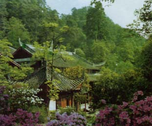 The Jinyun Temple 